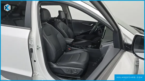 KIA NIRO EARTH