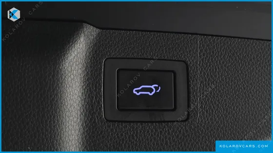 HYUNDAI MAXCRUISE DIESEL(E-VGT) 2.2 4WD EXCLUSIVE