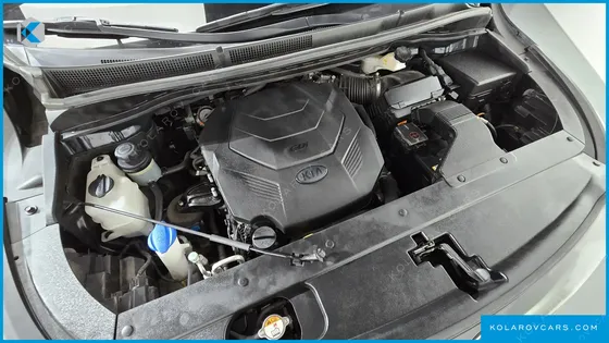 KIA CARNIVAL GASOLINE 7-SEATER LIMOUSINE