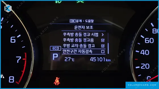 KIA CARNIVAL GASOLINE 7-SEATER LIMOUSINE