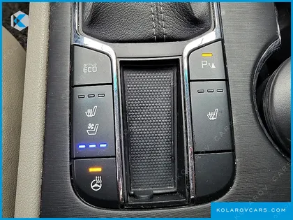 KIA CARNIVAL 9-SEATER LUXURY