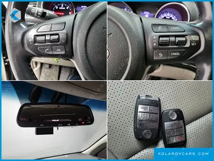 KIA CARNIVAL 9-SEATER LUXURY