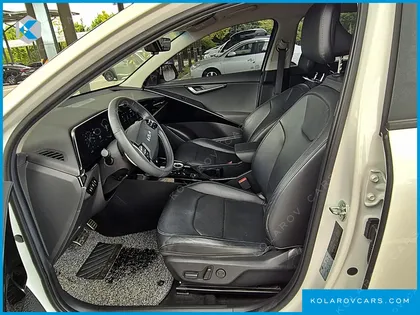 KIA NIRO EARTH