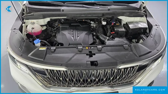 KIA CARNIVAL GASOLINE 9-SEATER LIMOUSINE(SPECIAL VEHICLE)