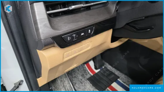 KIA CARNIVAL GASOLINE 9-SEATER LIMOUSINE(SPECIAL VEHICLE)