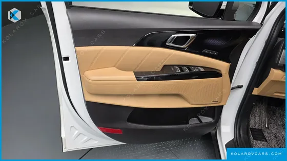 KIA CARNIVAL GASOLINE 9-SEATER LIMOUSINE(SPECIAL VEHICLE)