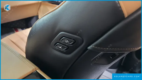 KIA CARNIVAL GASOLINE 9-SEATER LIMOUSINE(SPECIAL VEHICLE)