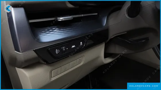 KIA CARNIVAL GASOLINE 9-SEATER HI-LIMOUSINE
