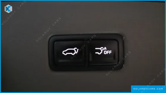 KIA CARNIVAL GASOLINE 9-SEATER HI-LIMOUSINE