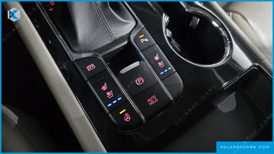 KIA CARNIVAL 9-SEATER NOBLESSE SPECIAL