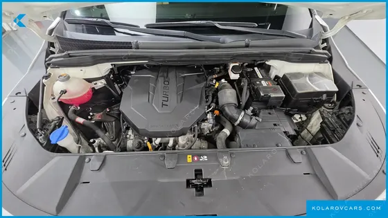 KIA CARNIVAL DIESEL 9-SEATER NOBLESSE