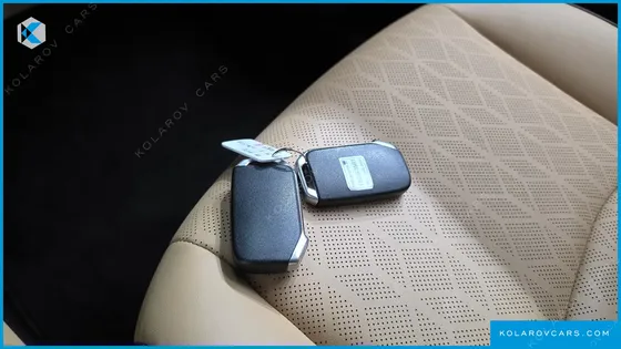 KIA CARNIVAL DIESEL 9-SEATER NOBLESSE
