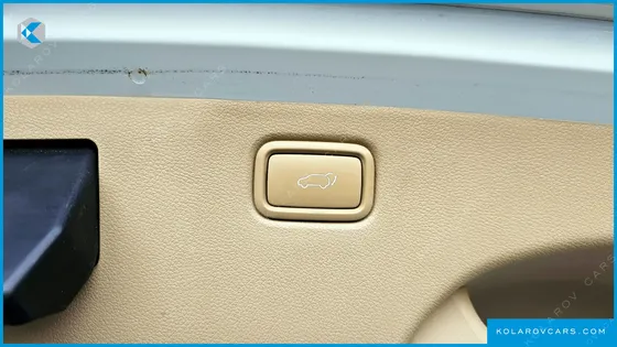 KIA CARNIVAL 9-SEATER HI-LIMOUSINE