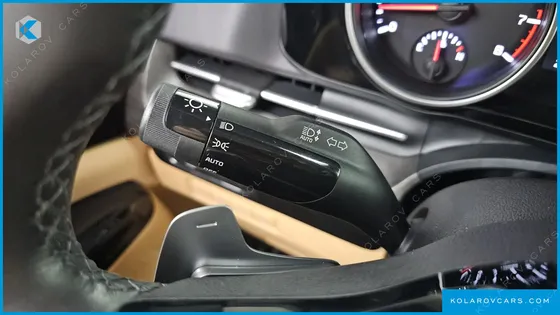 KIA CARNIVAL GASOLINE 9-SEATER NOBLESSE