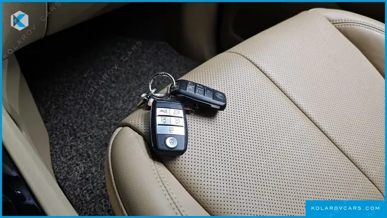KIA CARNIVAL GASOLINE 7-SEATER LIMOUSINE