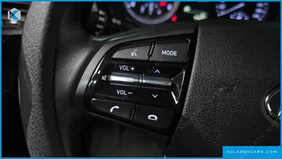 HYUNDAI GRANDEUR 3.0 LPI DSABLED PERSON