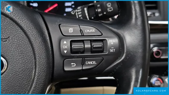 KIA CARNIVAL GASOLINE 9-SEATER NOBLESSE SPECIAL