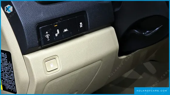 KIA CARNIVAL 9-SEATER PRSTIGE