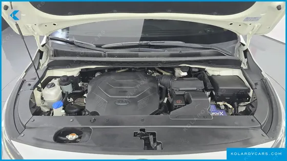 KIA CARNIVAL GASOLINE 7-SEATER HI-LIMOUSINE