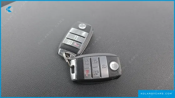 KIA CARNIVAL 9-SEATER LUXURY
