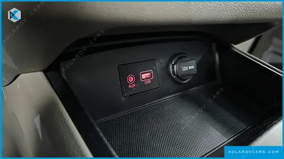 KIA CARNIVAL 9-SEATER LUXURY