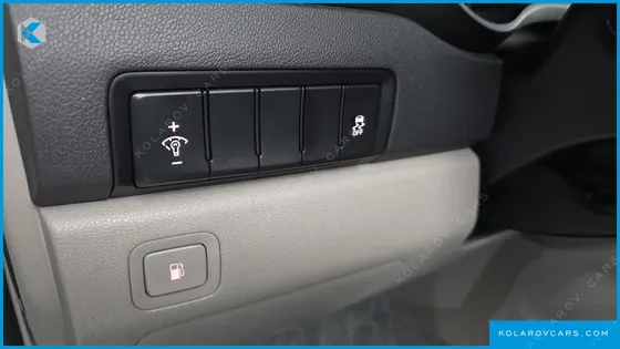 KIA CARNIVAL 9-SEATER LUXURY