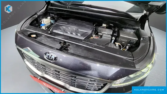 KIA CARNIVAL 7-SEATER LIMOUSINE
