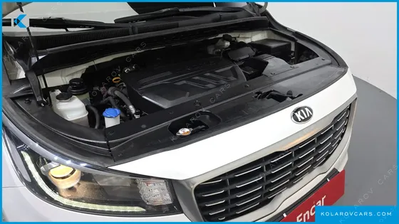 KIA CARNIVAL 9-SEATER LUXURY