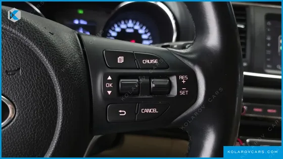KIA CARNIVAL 9-SEATER LUXURY