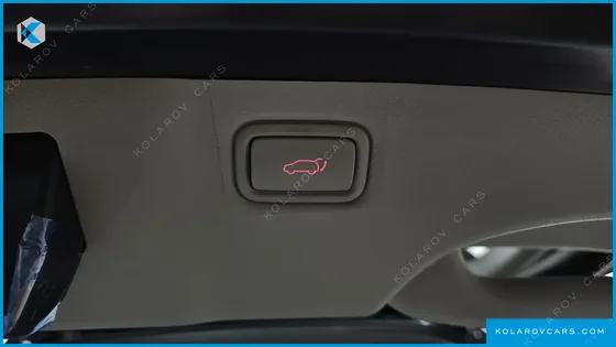 KIA CARNIVAL 9-SEATER NOBLESSE SPECIAL