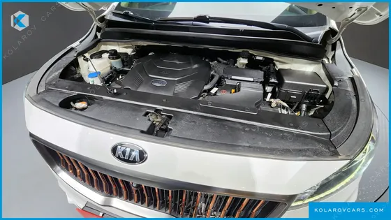 KIA CARNIVAL GASOLINE 7-SEATER LIMOUSINE