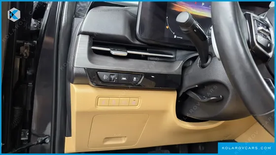 KIA CARNIVAL GASOLINE 9-SEATER SIGNATURE