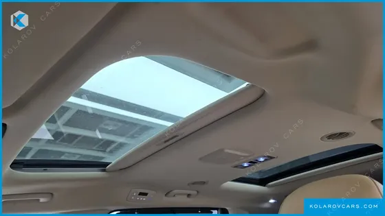 KIA CARNIVAL GASOLINE 9-SEATER SIGNATURE