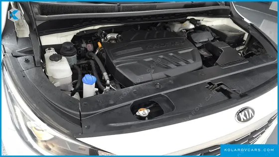 KIA CARNIVAL 9-SEATER LUXURY
