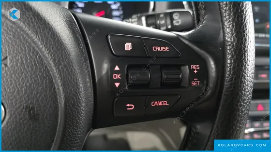 KIA CARNIVAL 9-SEATER LUXURY