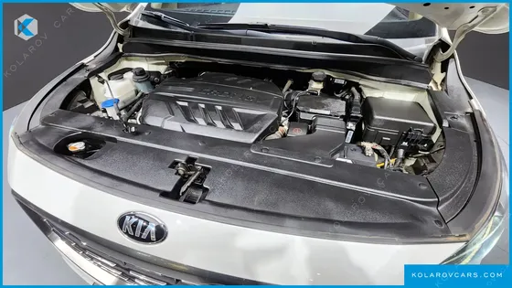 KIA CARNIVAL 7-SEATER LIMOUSINE