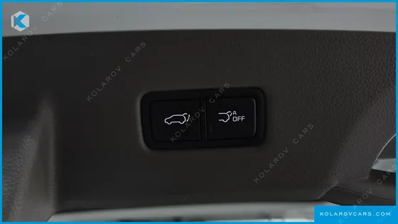 KIA CARNIVAL GASOLINE 9-SEATER HI-LIMOUSINE