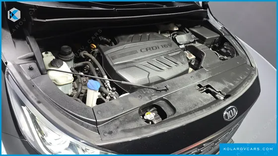 KIA CARNIVAL 9-SEATER HI-LIMOUSINE