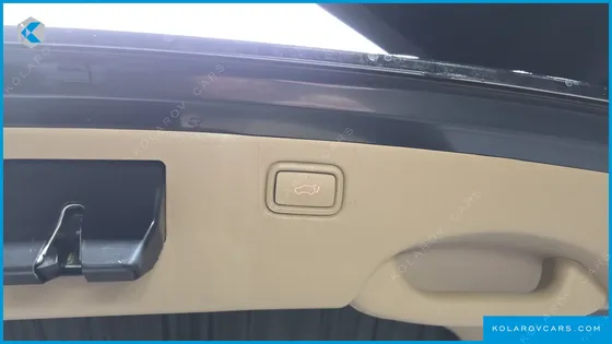 KIA CARNIVAL 9-SEATER HI-LIMOUSINE