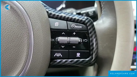 KIA CARNIVAL GASOLINE 7-SEATER HI-LIMOUSINE