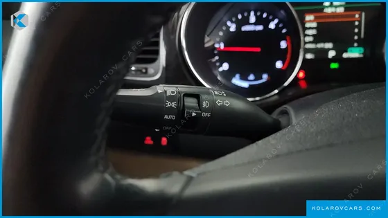 KIA CARNIVAL 9-SEATER NOBLESSE SPECIAL