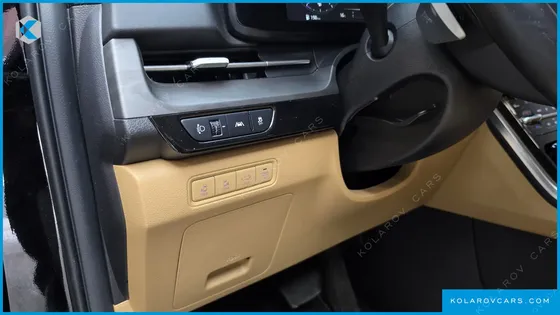 KIA CARNIVAL DIESEL 9-SEATER SIGNATURE