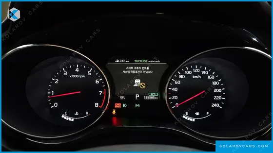 KIA CARNIVAL GASOLINE 9-SEATER HI-LIMOUSINE