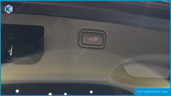 KIA CARNIVAL 9-SEATER NOBLESSE SPECIAL