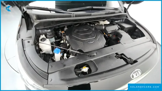 KIA CARNIVAL GASOLINE 9-SEATER HI-LIMOUSINE