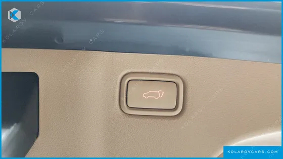 KIA CARNIVAL GASOLINE 9-SEATER HI-LIMOUSINE
