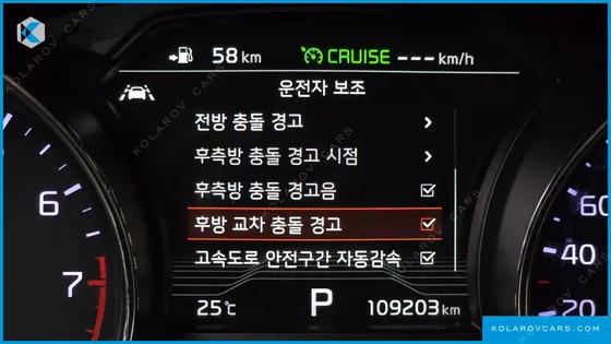 KIA CARNIVAL GASOLINE 9-SEATER HI-LIMOUSINE