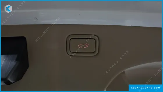 KIA CARNIVAL GASOLINE 9-SEATER HI-LIMOUSINE