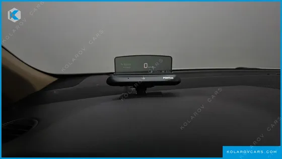 KIA CARNIVAL GASOLINE 9-SEATER HI-LIMOUSINE