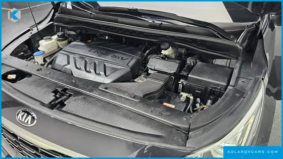 KIA CARNIVAL 7-SEATER LIMOUSINE
